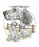 English Setter - Trio Image by Cindy Farmer