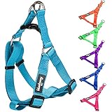 Blueberry Pet Step-in Harnesses 5/8" Wide * 15.5-19.5" Chest Classic Solid Color Adjustable Medium Turquoise Dog Harness, Small