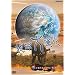 NHK�X�y�V���� �n����i�� 46���N�E�l�ނւ̗� ��4�W ��ʐ�� ���啬�΂��ٓ��ނ𐶂� [DVD]