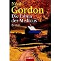 Die Erben des Medicus: Roman