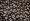 Black/gray animal print