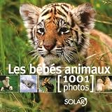 Les b�b�s animaux : 1001 Photos