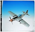 North American p-51d Mustang ESAF005W