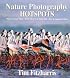Nature Photography Hot Spots: Where To Find Them, When They're At Their Best and How To Approach Them