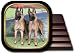 Belgian Malinois Coaster Set