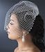Ivory Cage Wedding Veil with Swarovski Crystal Edge