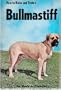 How to Raise and Train a Bullmastiff