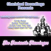 The Flamingos Ablum Cover