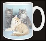 Review Advanta  / FOUR FLUFFY KITTENS Coffee Mug