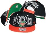 Florida Gators Two Tone Plastic Snapback Adjustable Plastic Snap Back Hat / Cap