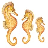 Underwater Tropical Seahorse Wall Sticker Mural