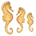 Seahorse Small Under the Sea Tropical Fish Bath Wall Mural Stickers