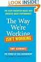 Way We're Working Isn't Working: Four Forgotten Needs that Energize Great Performance