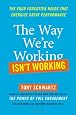 The Way We`re Working Isn`t Working: The Four Forgotten Needs That Energize Great Performance
