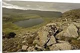 Canvas Prints of Lake Garba Guracha from Ardea Wildlife Pets