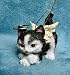 Angel Kitten Christmas Ornament Black & White Cat