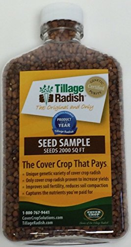 Tillage Radish Seed Tillage Radish Seed