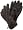 Coal