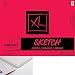 Canson Biggie Sketch Pads 18 in. x 24 in. pad of 120