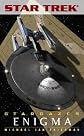 Enigma (Star Trek Stargazer, Book 5)