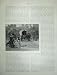 1886 AUSTRALIA GOVERNMENT HOUSE BUSH HAWKER HORSES ART