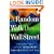 A Random Walk Down Wall Street