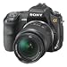 Sony DSLRA200K