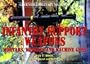 Infantry Support Weapons: Mortars, Missiles and Machine Guns (Greenhill Military Manuals)