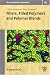 Book Fillers, Filled Polymers and Polymer Blends (Macromolecular Symposia)