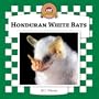 Honduran White Bats (Bats Set II)