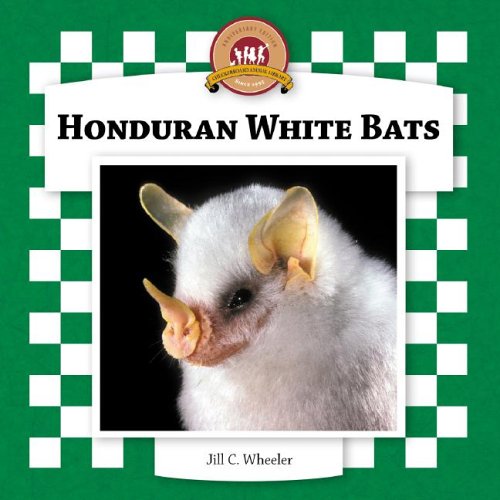 Bats