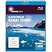 Discovery HD: Sunrise Earth - Gletscher im Kenai Fjord [Blu-ray]
