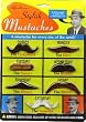 Mustaches - Stylish Fake Moustache Set