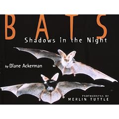 Bats