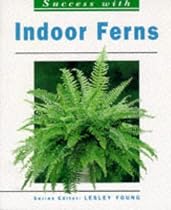 Indoor Ferns (Success with)