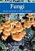 Fungi (New Naturalist)