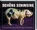 Produkt-Bild: Sch&ouml;ne Schweine: Portr&auml;ts ausgezeichneter Rassen von Andy Case, fotografiert von Andrew Perris