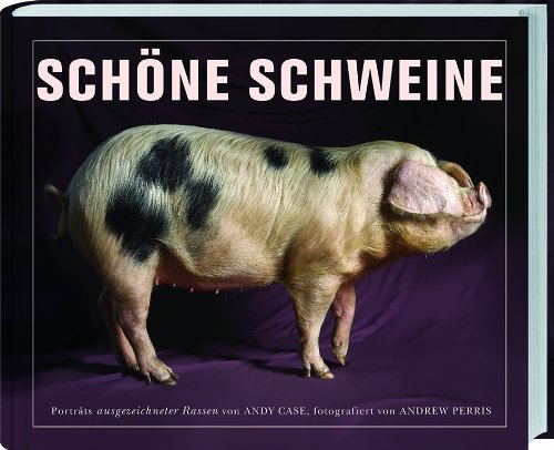 Produkt-Bild: Sch&ouml;ne Schweine: Portr&auml;ts ausgezeichneter Rassen von Andy Case, fotografiert von Andrew Perris