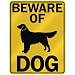 golden_retriever15golden retriever - BEWARE OF GOLDEN RETRIEVER PARKING SIGN DOG