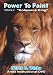 Power To Paint, Botswana King