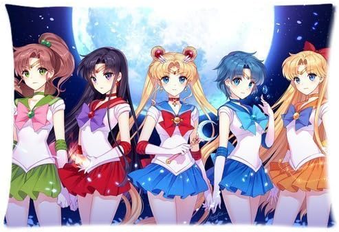 Custom Japanese Anime Cartoon Sailor Moon Crystal Pretty Girls Rectangular Pillow Case 20x30 Inches Creative Personalized Pillowcase Bedding Pillow Slips by Lovely cat