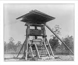 Historic Print (L): [Old cotton press near Thomasville, Georgia]