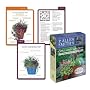 P. Allen Smith's Container Gardens Deck: 50 Recipes for Year-Round Gardening