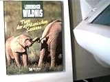 Produkt-Bild: Lebendige Wildnis - Tiere der afrikanischen Savanne;