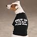 X-LARGE - Snappy Sayings Dog T-Shirt - Shut Up!