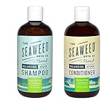 Seaweed Bath Co Balancing Eucalyptus Plant and Peppermint Organic Natural Shampoo and Conditioner Bundle With Argan Oil, Sustainable Bladderwrack Seaweed, Aloe Vera & Essential Oils, 12 fl. oz. each