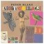 Peter Blake About Collage