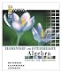 Elementary and Intermediate Algebra: Concepts and Applications (4th Edition) (Bittinger Developmental Mathematics Series)