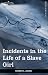 Incidents in the Life of a Slave Girl