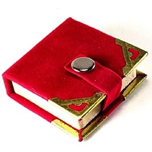 LAKSHMI PENDANT w/ YANTRA ~ Hindu Goddess Wealth Amulet in Velvet Case